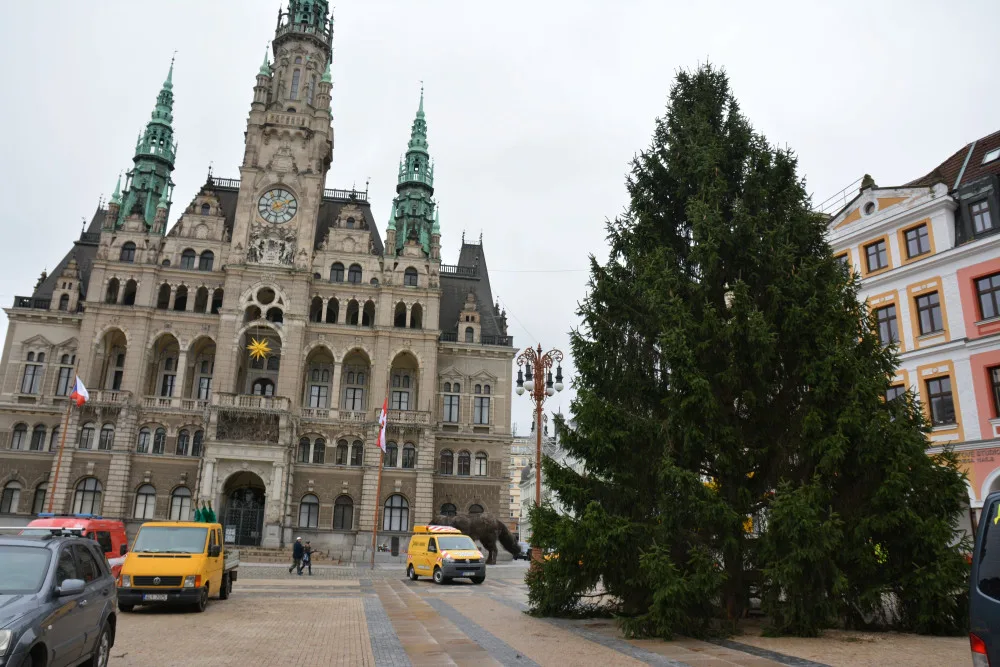 Vánoce se nezadržitelně blíží. Před radnicí v Liberci už strojí mohutný smrk