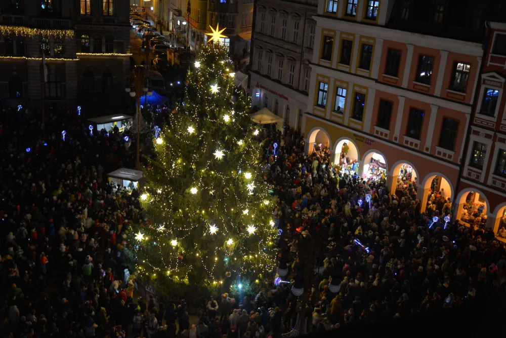 Vánoční strom před libereckou radnicí.