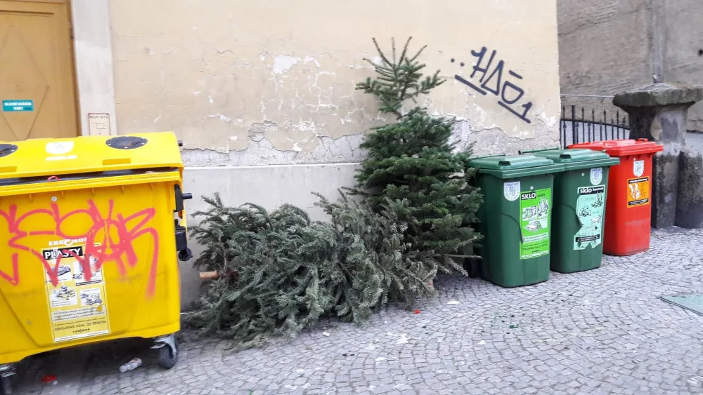 Co s vánočním stromkem? V pondělí začíná jejich svoz