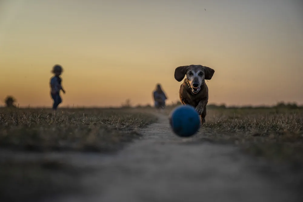 Ilustrační foto.