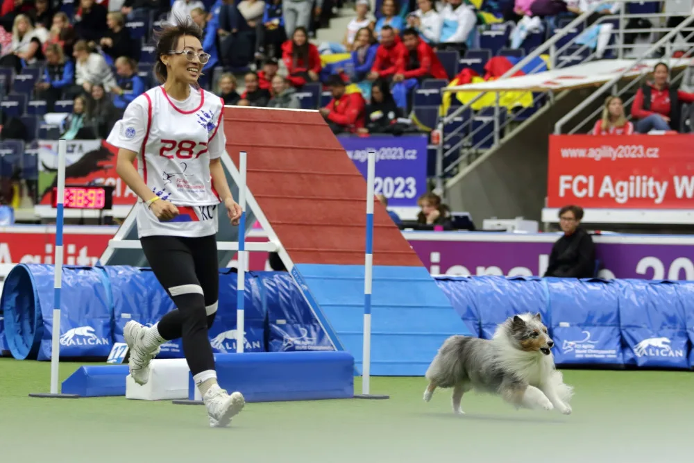Momentka z MS v agility Liberec 2023.