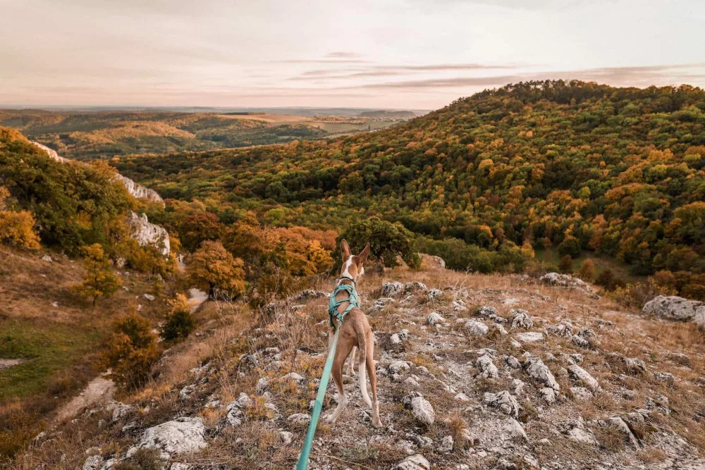 Ilustrační foto.