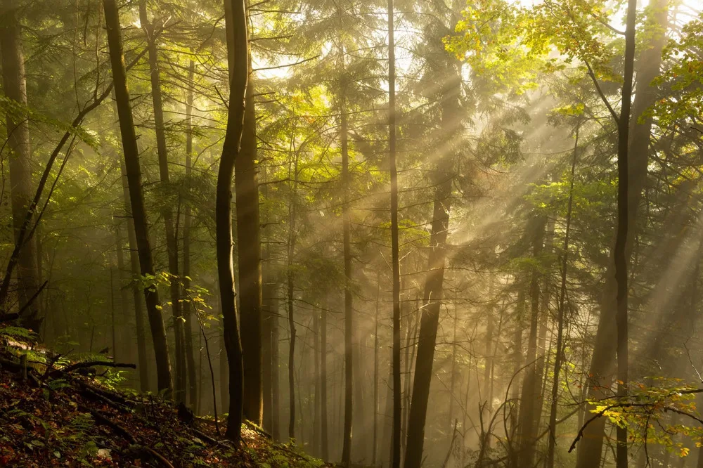 Sobota připomene léto, poté se ochladí a vrátí se déšť