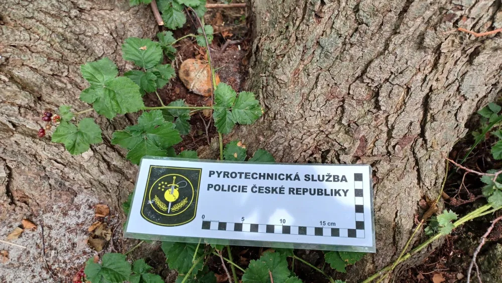 Pyrotechnik uzavřel hlavní pláž na Mácháči, brigádníci od šlapadel tam našli granát