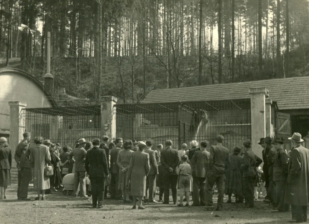 Liberecká zoo slaví 120. narozeniny. Na čtvrtek připravila speciální program a zvýhodněné vstupné