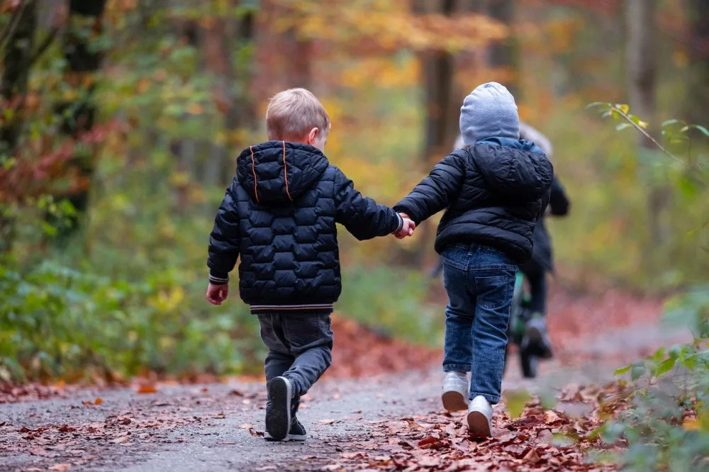 V Proseči nad Nisou vznikne lesní mateřská školka