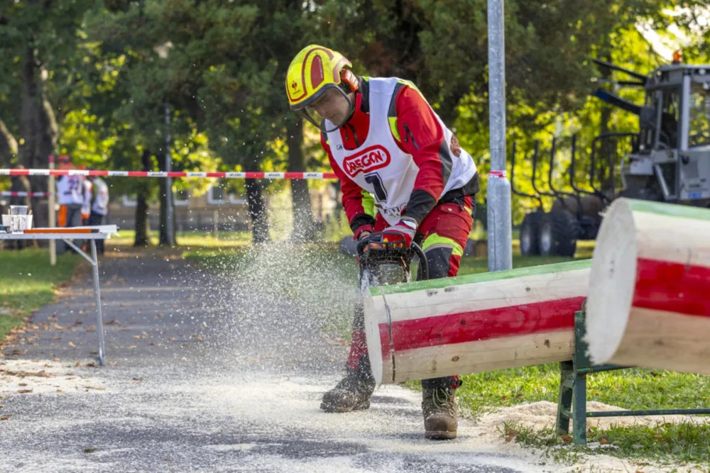 Frýdlantský park bude ve středu a ve čtvrtek hostit soutěž středoškolských týmů Jizerský dřevorubec