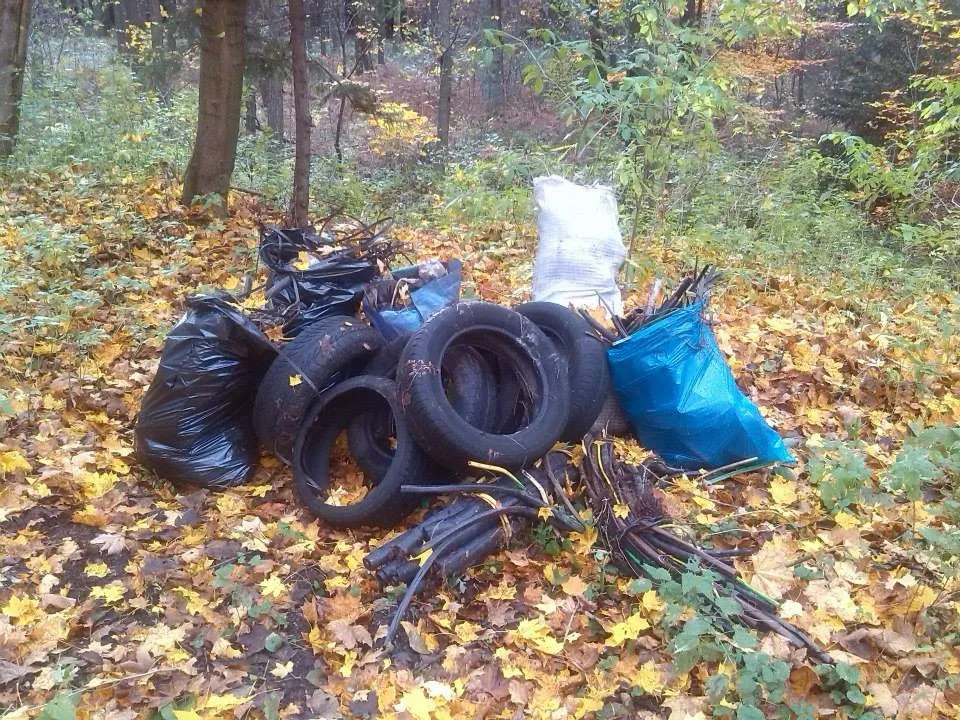 Od pátku do neděle mohou dobrovolníci v rámci akce Ukliďme Jizerky pomoci vyčistit Jizerské hory od odpadků