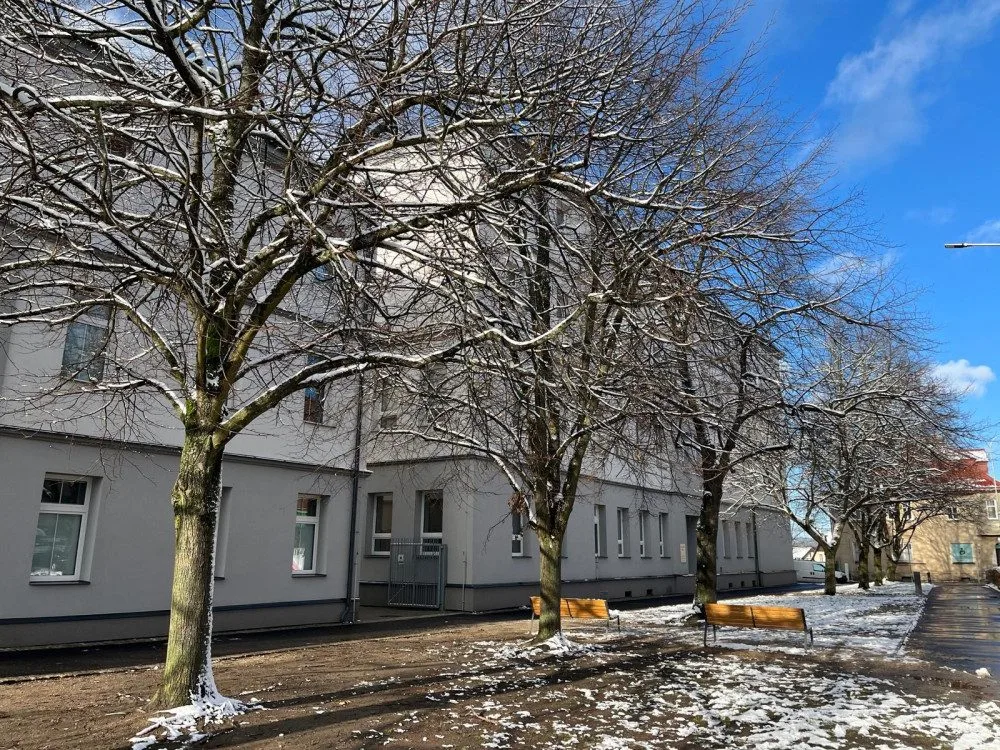 Lípy na náměstí v Ruprechticích prošly ozdravnou kúrou. Speciální půdní injektáž prokypřila půdu i vpravila živiny