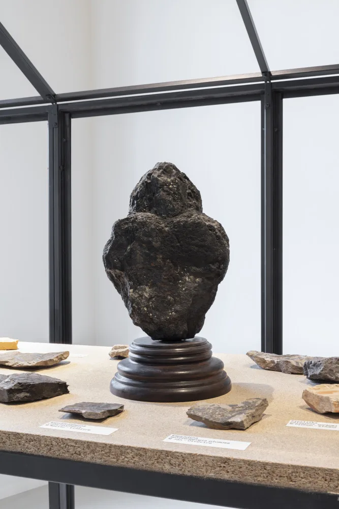 Dagmar Šubrtová - Srdce planoucí, 2015, objekt, kladenské uhlí