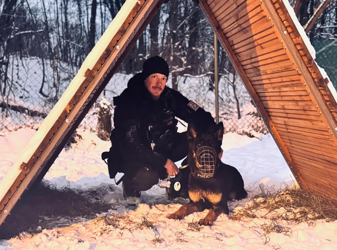 Policejního psa Mikyho od úkolu nevyrušily ani silvestrovské petardy. Řidiče, který způsobil nehodu a utekl, hravě vyčmuchal