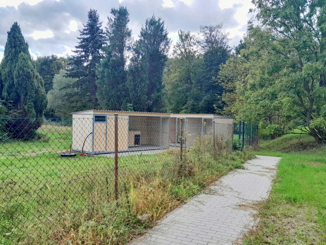 V Turnově spouští provoz nové odchytové zařízení pro ztracené či zaběhnuté psy. Zůstat v něm mohou 24 hodin