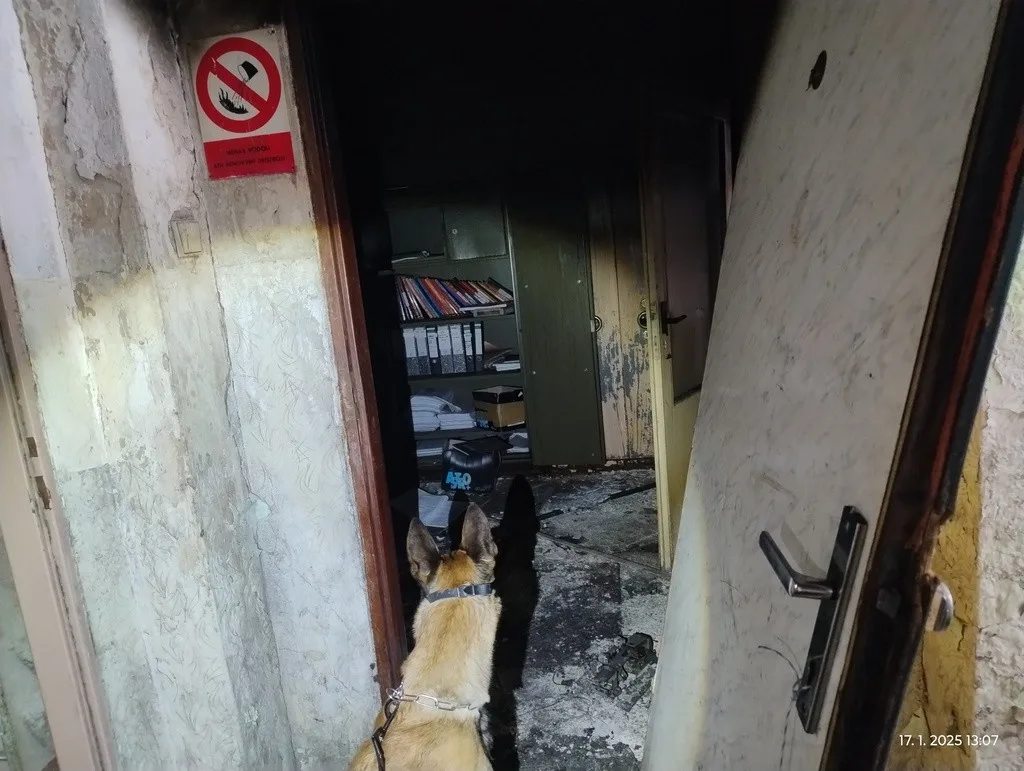 Zloděje železa odhalil služební pes. Muž odřezal několik radiátorů, skrýval se