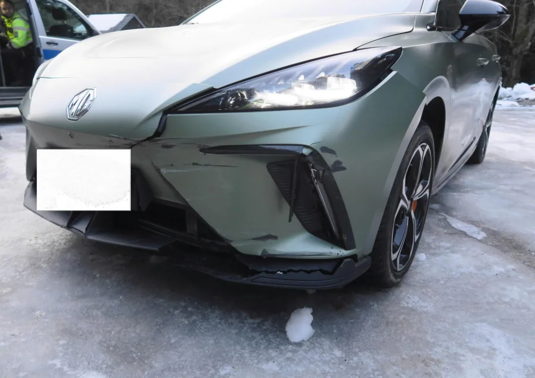 Dravec přeletěl těsně před autem. Řidič se lekl a havaroval
