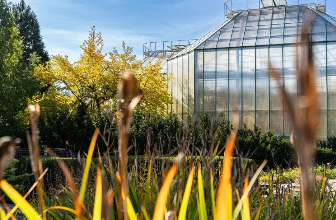 Květnaté louky, jarní věnce i výstava kaktusů. Botanická zahrada slaví 130 let