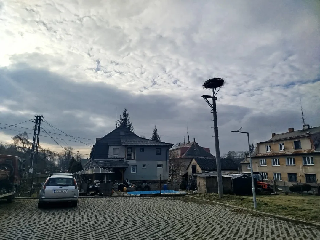 Vpravo nové hnízdo, vlevo sloup, kde bývalo hnízdo staré