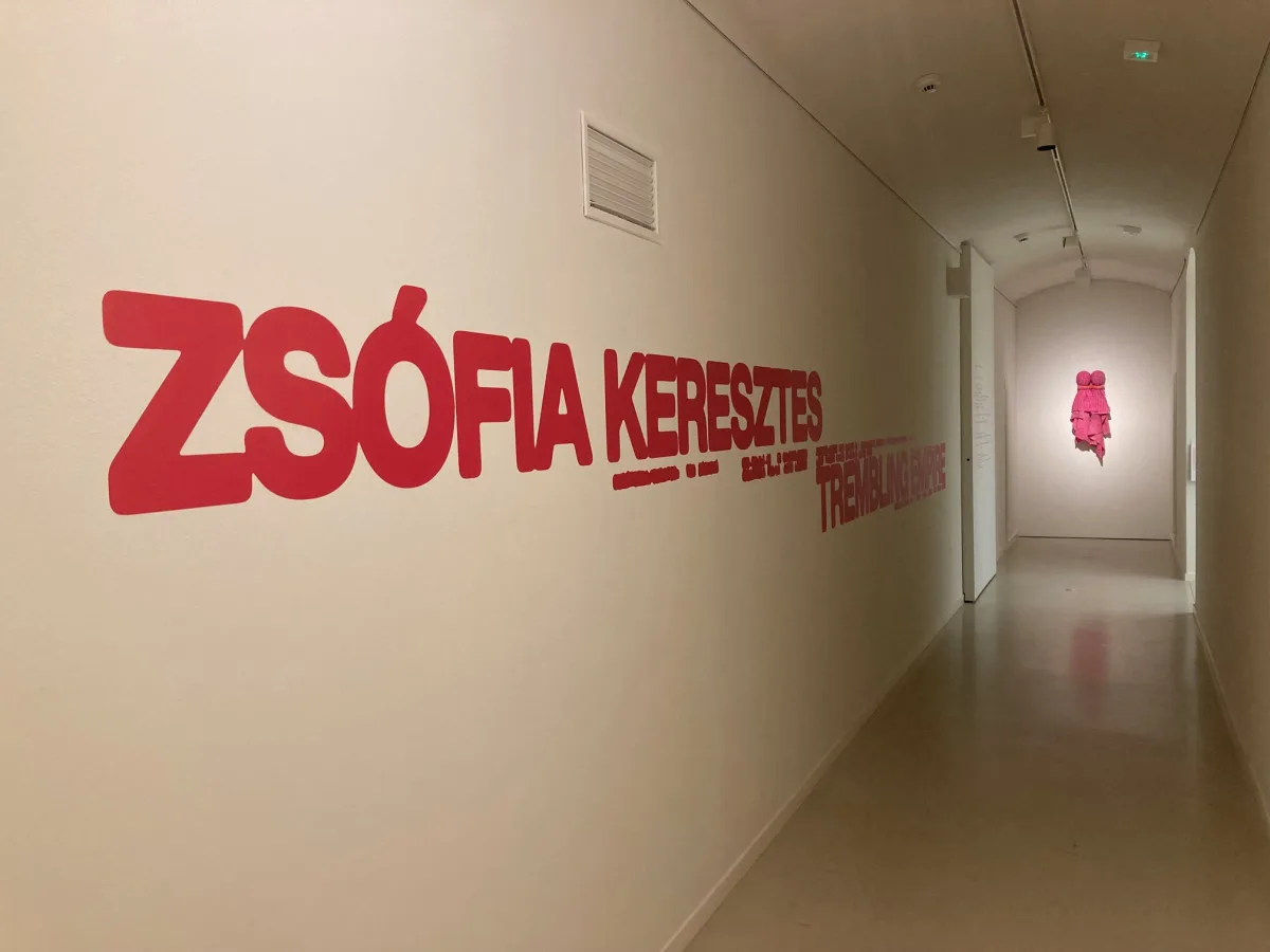 V liberecké galerii se ukrývá Třesoucí se říše. Stojí za ní slavná maďarská sochařka Zsófia Keresztes