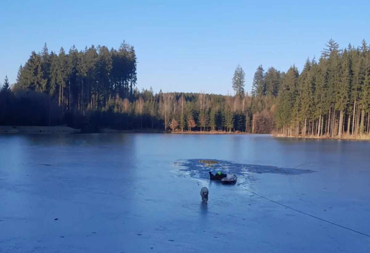 Jedenáctiletá fenka uvízla v Horní Branné v díře v ledu na rozmrzajícím rybníce. Na břeh ji hasiči dostali pomocí paddleboardu