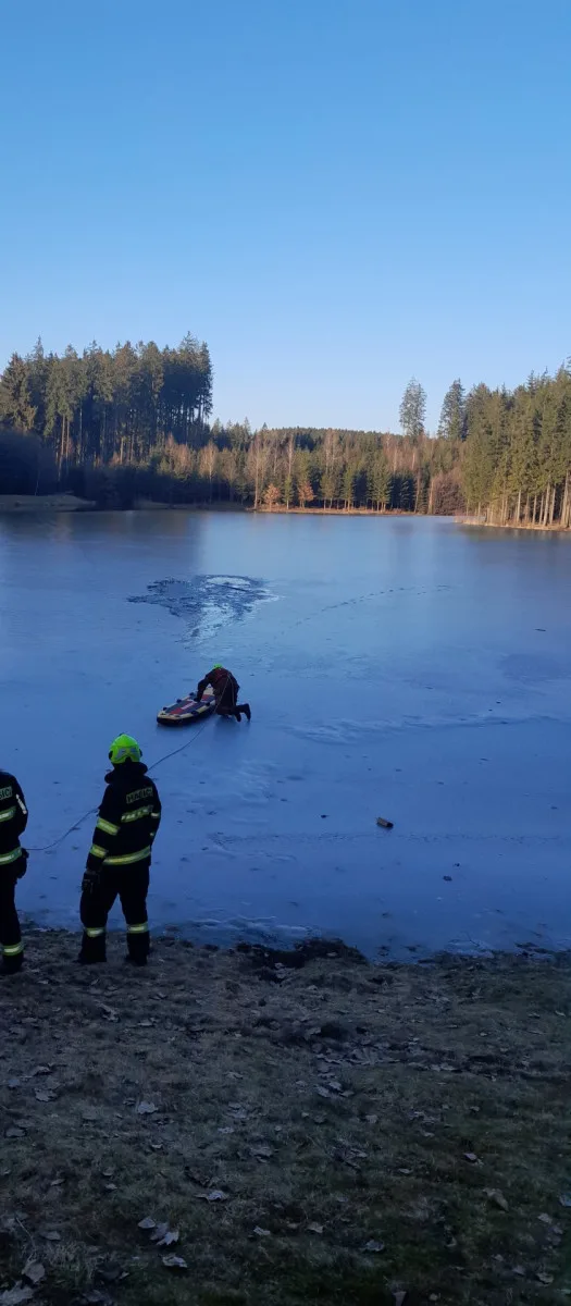 Jedenáctiletá fenka uvízla v Horní Branné v díře v ledu na rozmrzajícím rybníce. Na břeh ji hasiči dostali pomocí paddleboardu