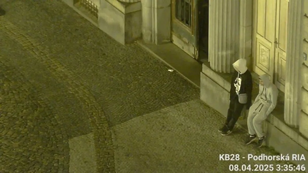 Strážnici v Jablonci zadrželi dva hledané. Nahlíželi do zaparkovaných aut