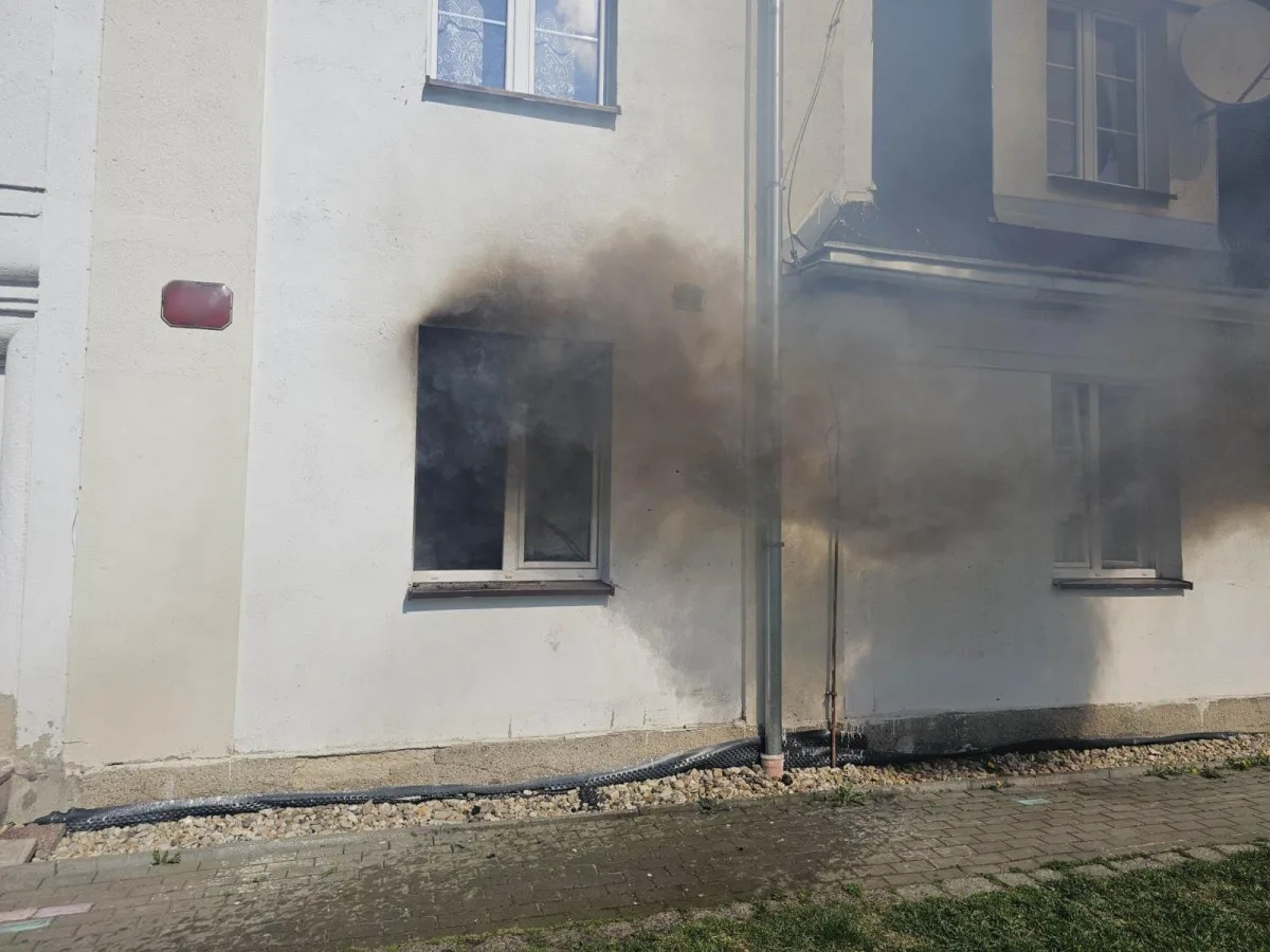 Hasiči při požáru v Horním Růžodole zachránili kočku. Poskytli jí kyslíkovou terapii