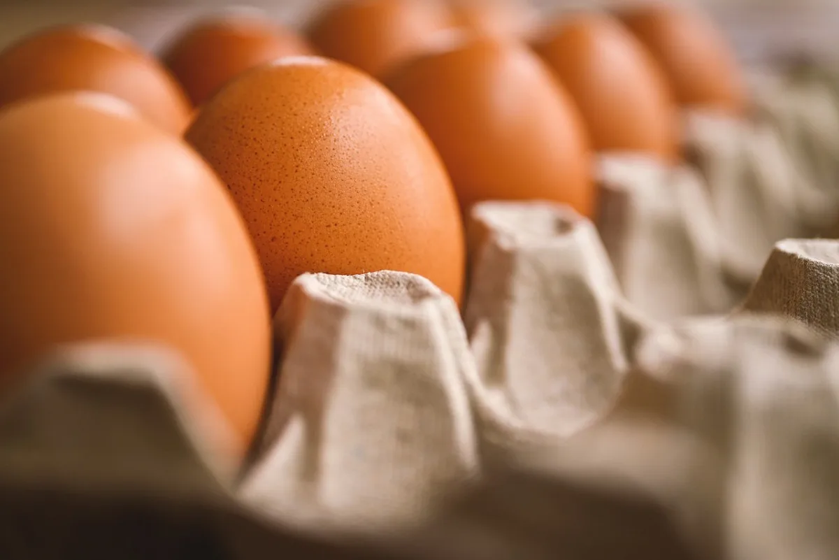 Cena vajec v Česku meziročně vzrostla nejvíce z celé EU