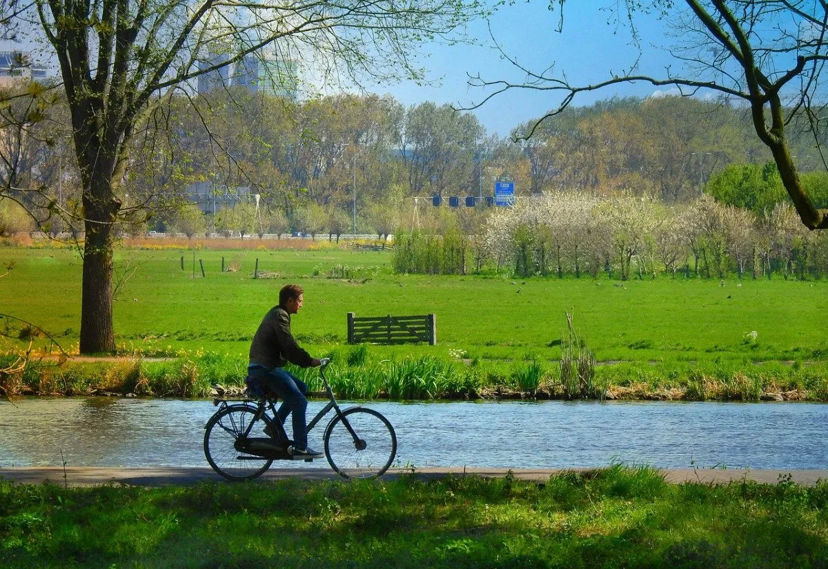 cyklista