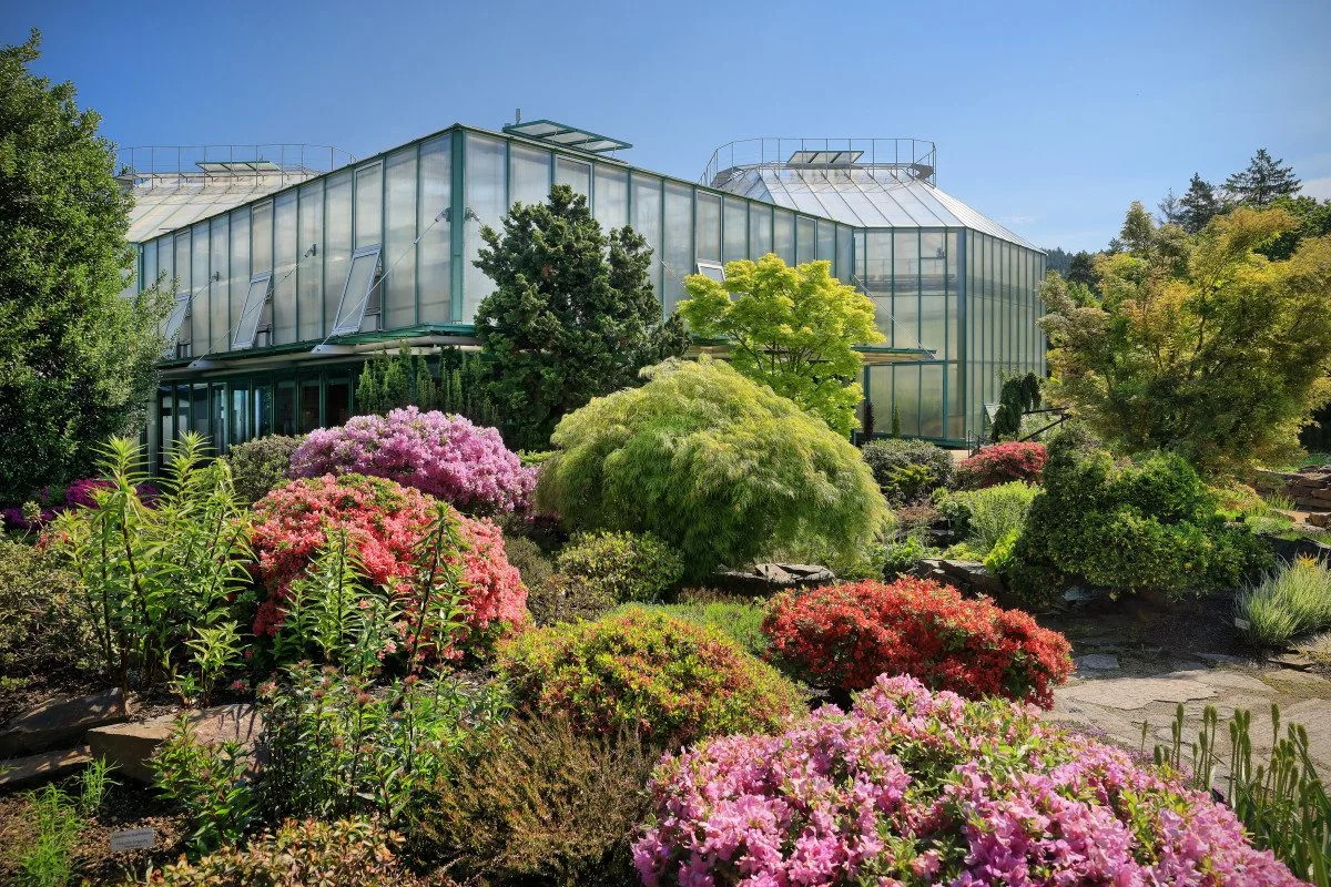 Botanická zahrada oslaví zítra 80. výročí konce války vstupem zdarma