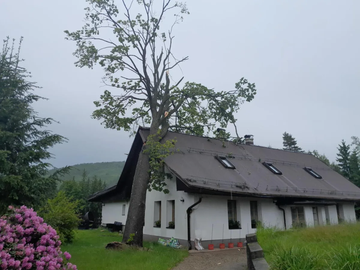 Vzrostlý strom spadl na štít domu v Liberci Kunraticích. Pomohli hasiči