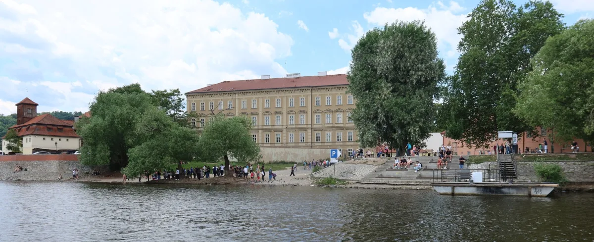 Pátrání po zmizelých labutích v Praze a okolí
