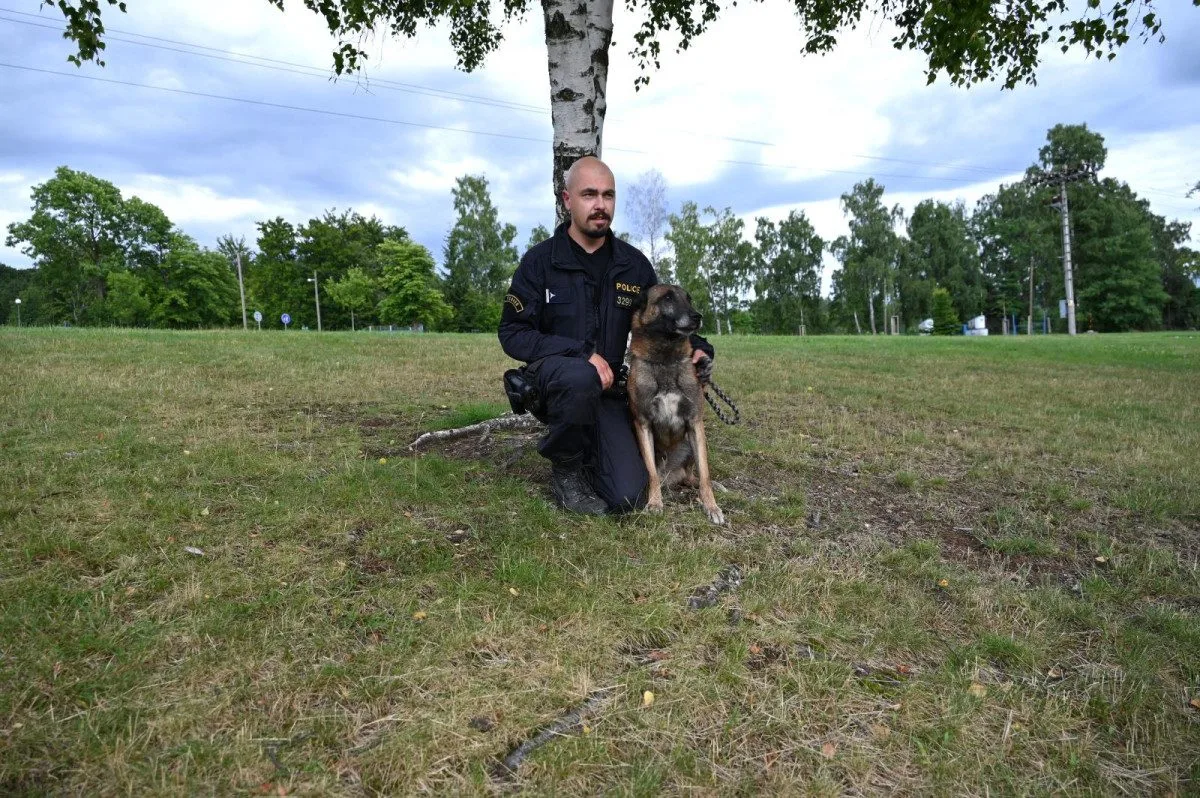 Policejní pes Rooney opět boduje. V Krkonoších našel ztraceného muže s Alzheimerem