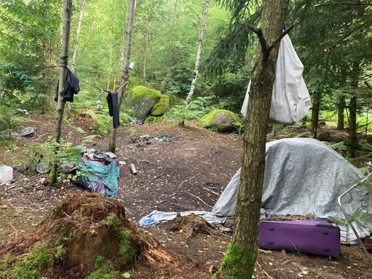Kolonie bezdomovců na Proseči zmizela. V lese zůstaly dvě tuny odpadu