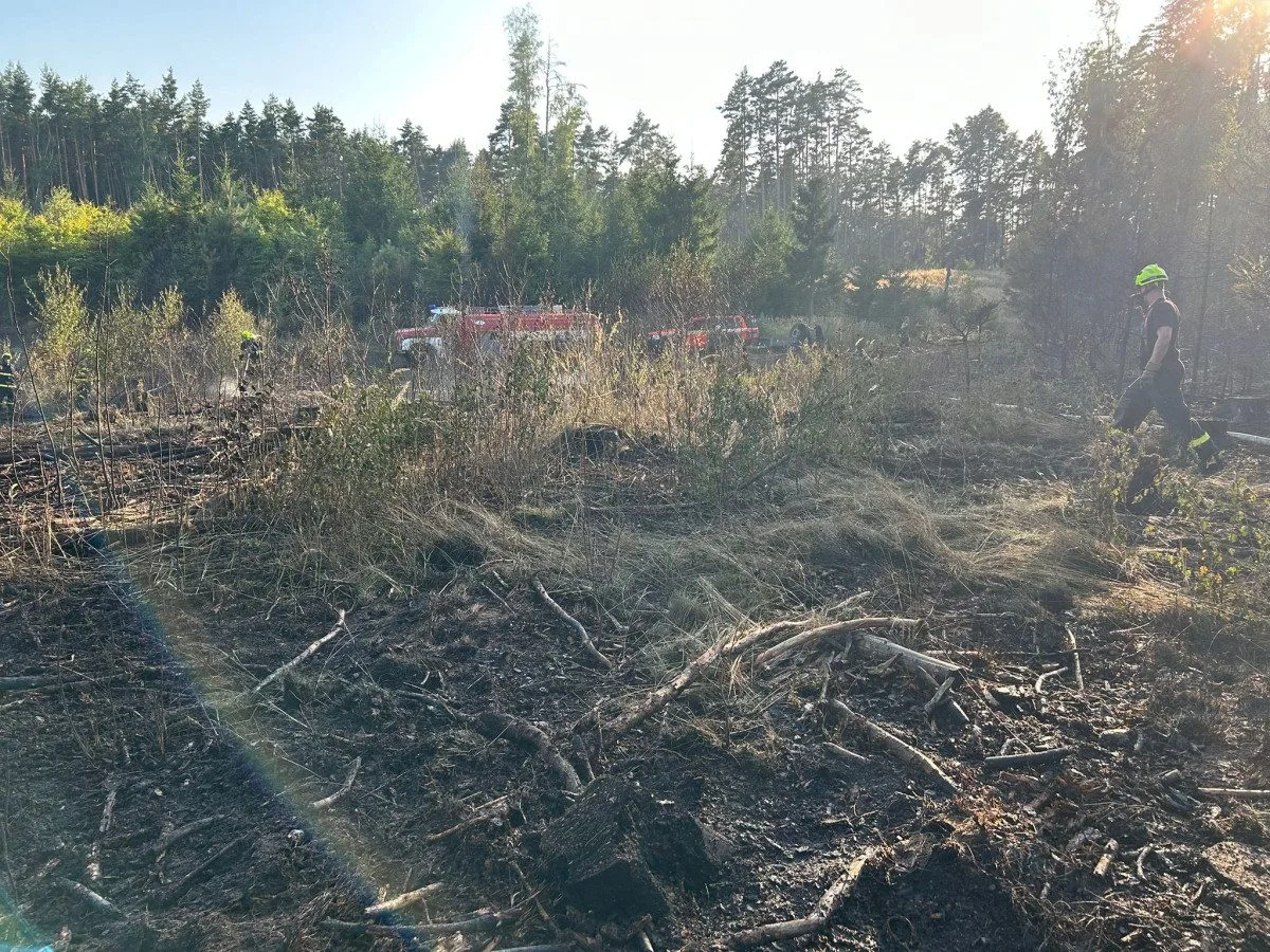 Další lesní požár. Hořelo nedaleko Máchova jezera