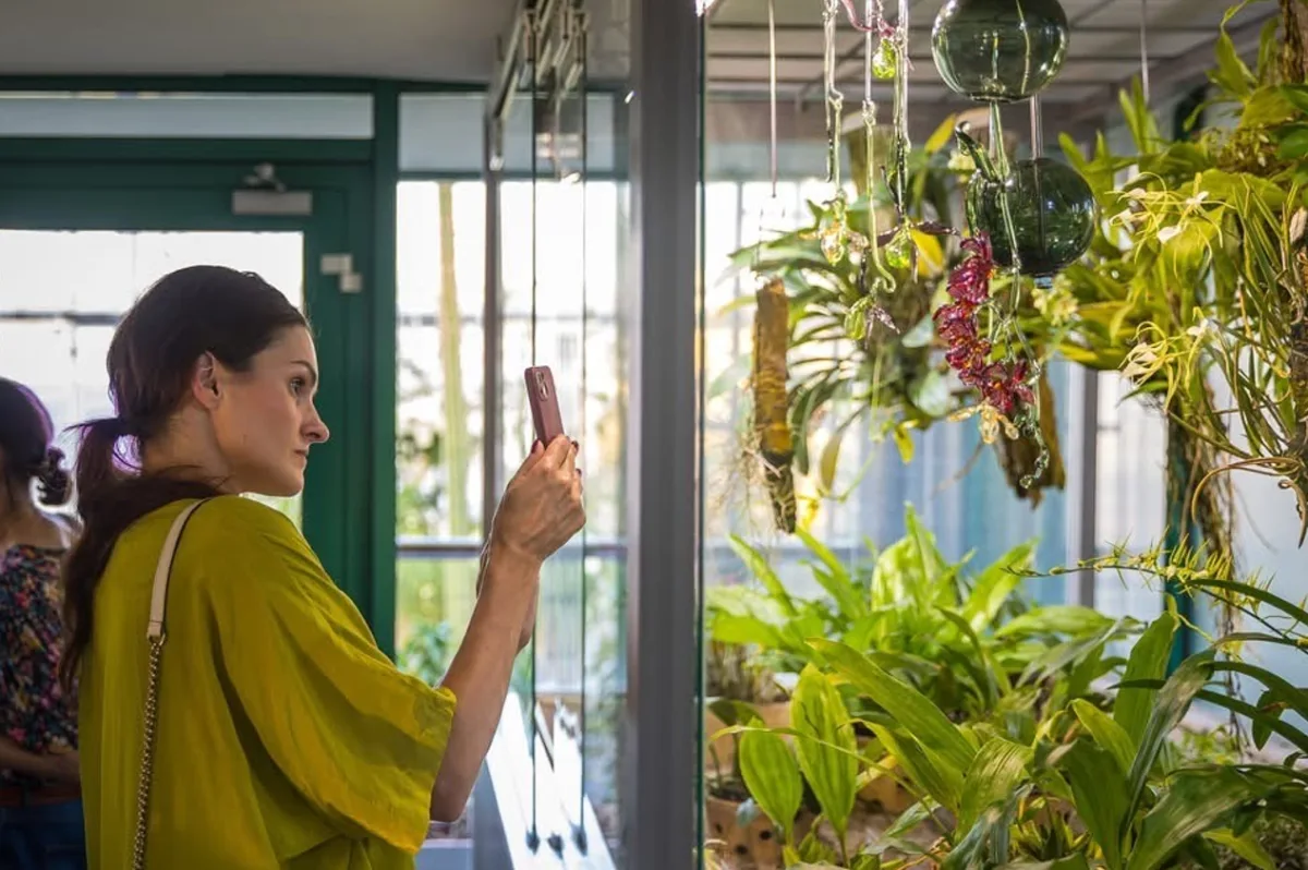 V Botanické zahradě v Liberci přibyly skleněné objekty inspirované přírodou