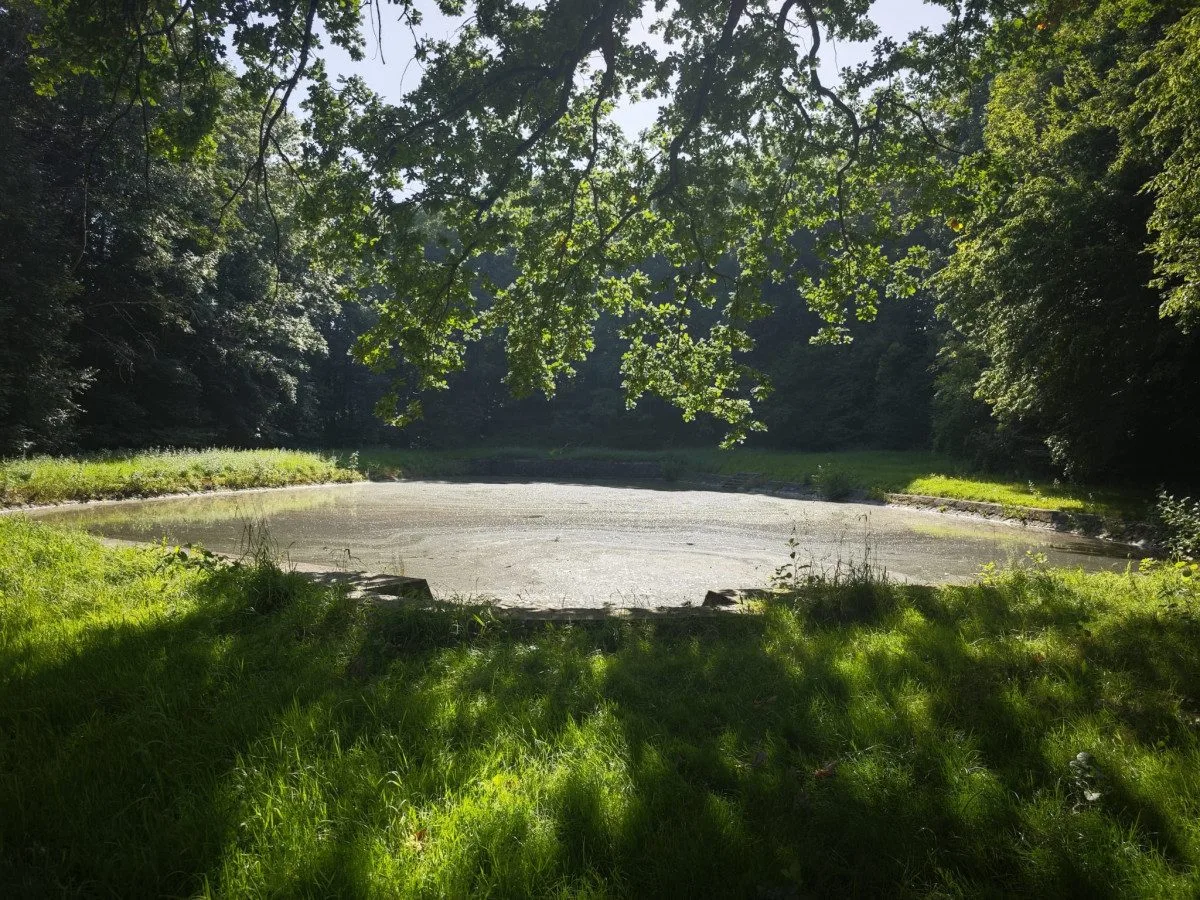 Ze staré hasičské nádrže v Hrádku nad Nisou v Dolním Sedle se stane biotop