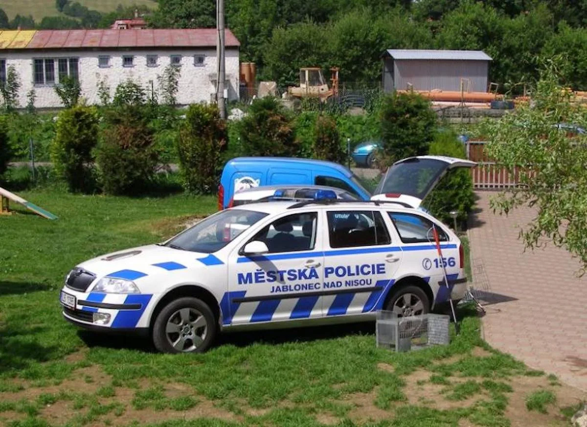 Včely se usídlily na ulici v Jablonci. Roj si převzal včelař