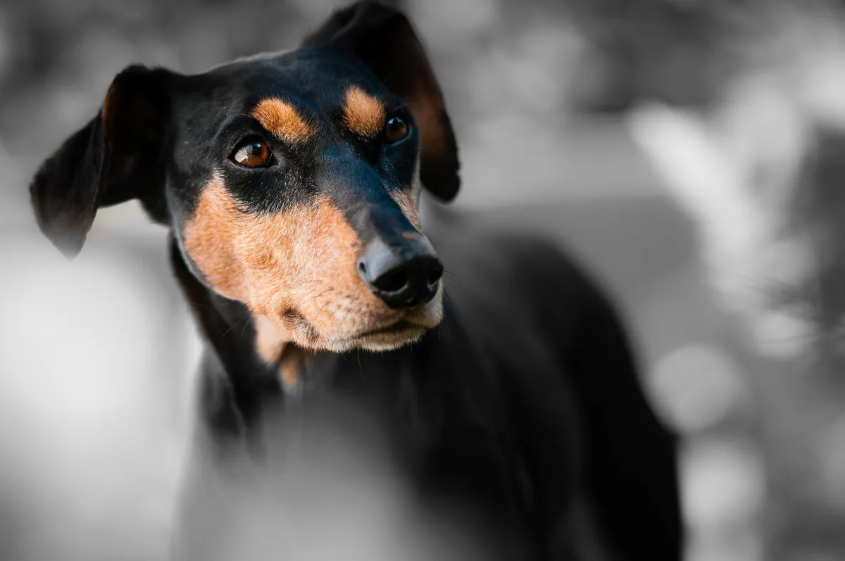 Ilustrační foto.