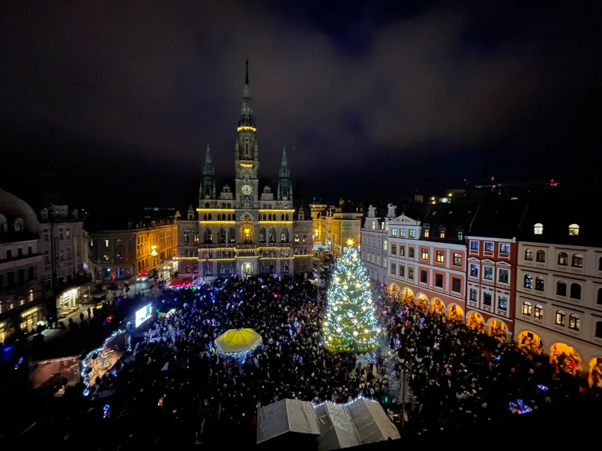 Liberecký vánoční strom už svítí. Trhy odstartují ve středu