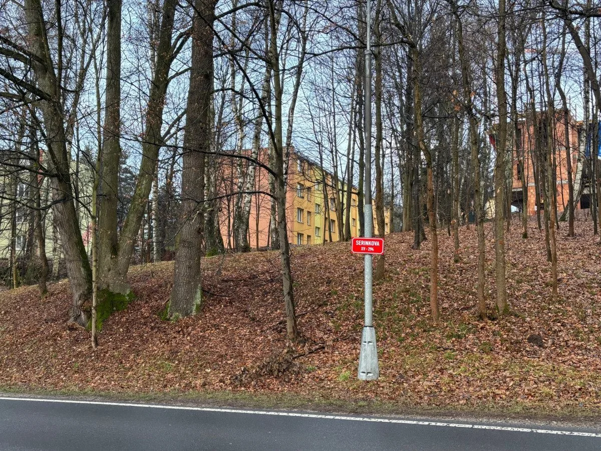 Rány sekyrou, lihový fix i punkové jméno ulice. Romská historie budí v Liberci emoce