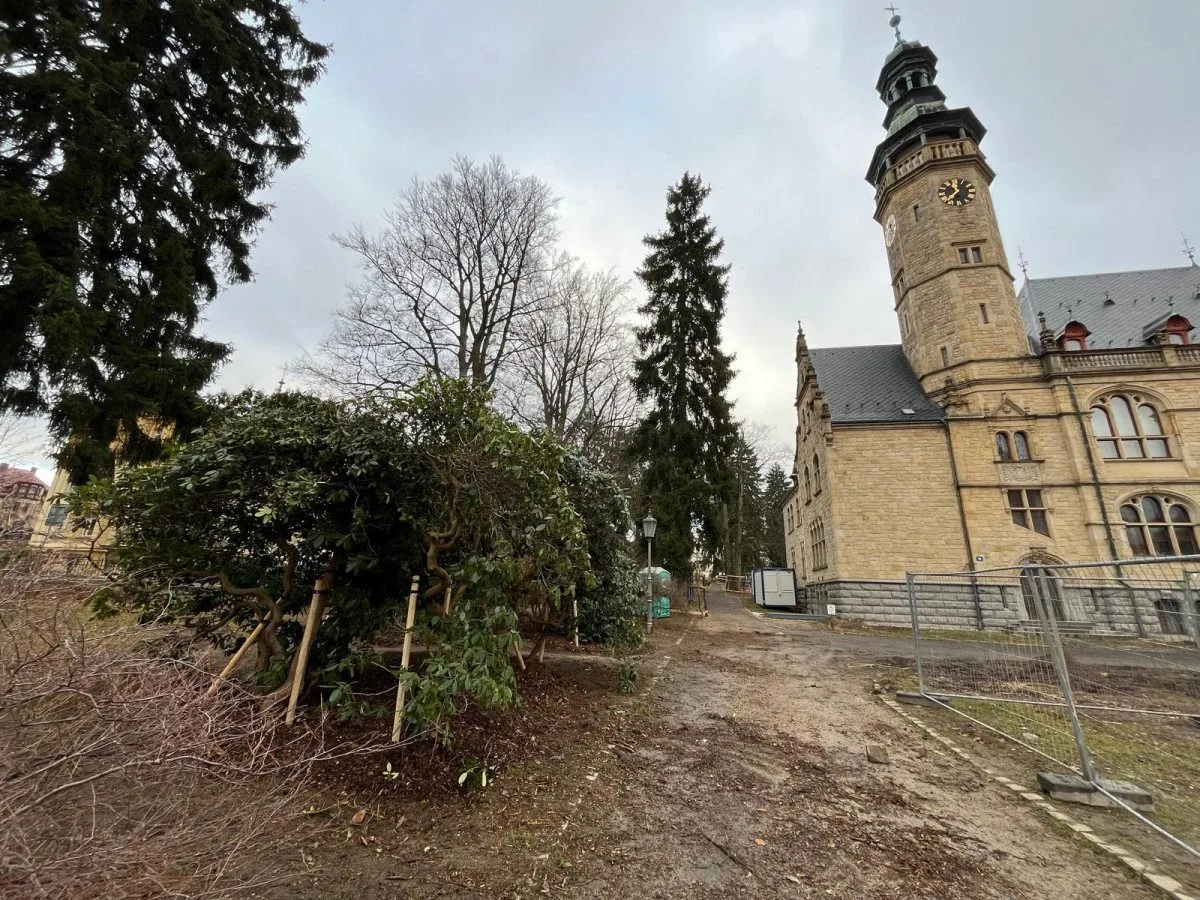 Z prostranství před muzeem zmizely rododendrony. Rekonstrukce parku začala