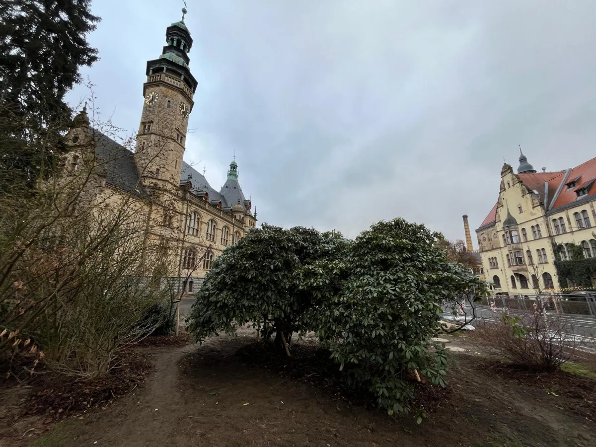 Z prostranství před muzeem zmizely rododendrony. Rekonstrukce parku začala