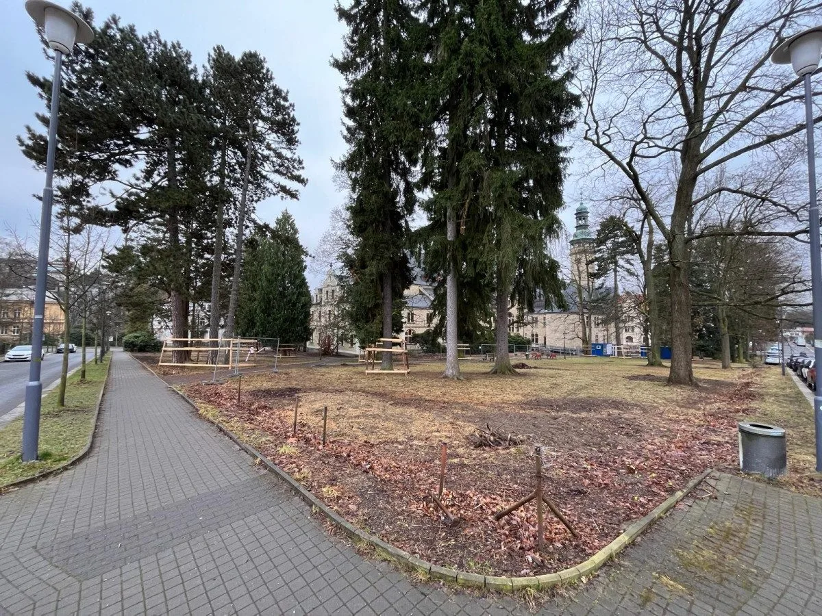 Z prostranství před muzeem zmizely rododendrony. Rekonstrukce parku začala