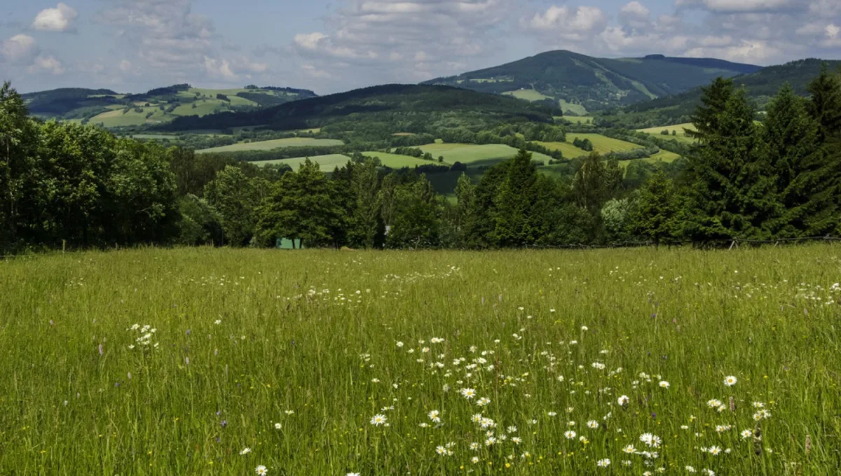 Krkonošský národní park nakoupil 13 hektarů pozemků za bezmála osm milionů