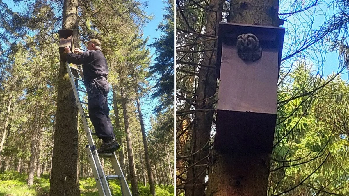 O instalované budky se každoročně pečuje a prochází údržbou