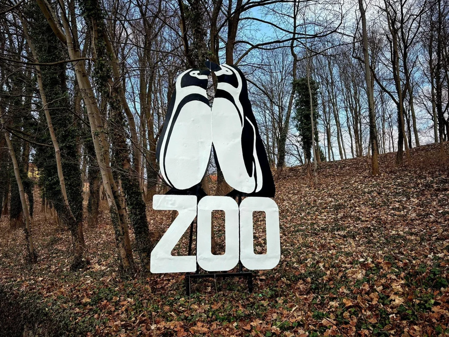 Tučňáci od Teplárny jsou zpět. Ikonický poutač na zoo Liberec září novotou