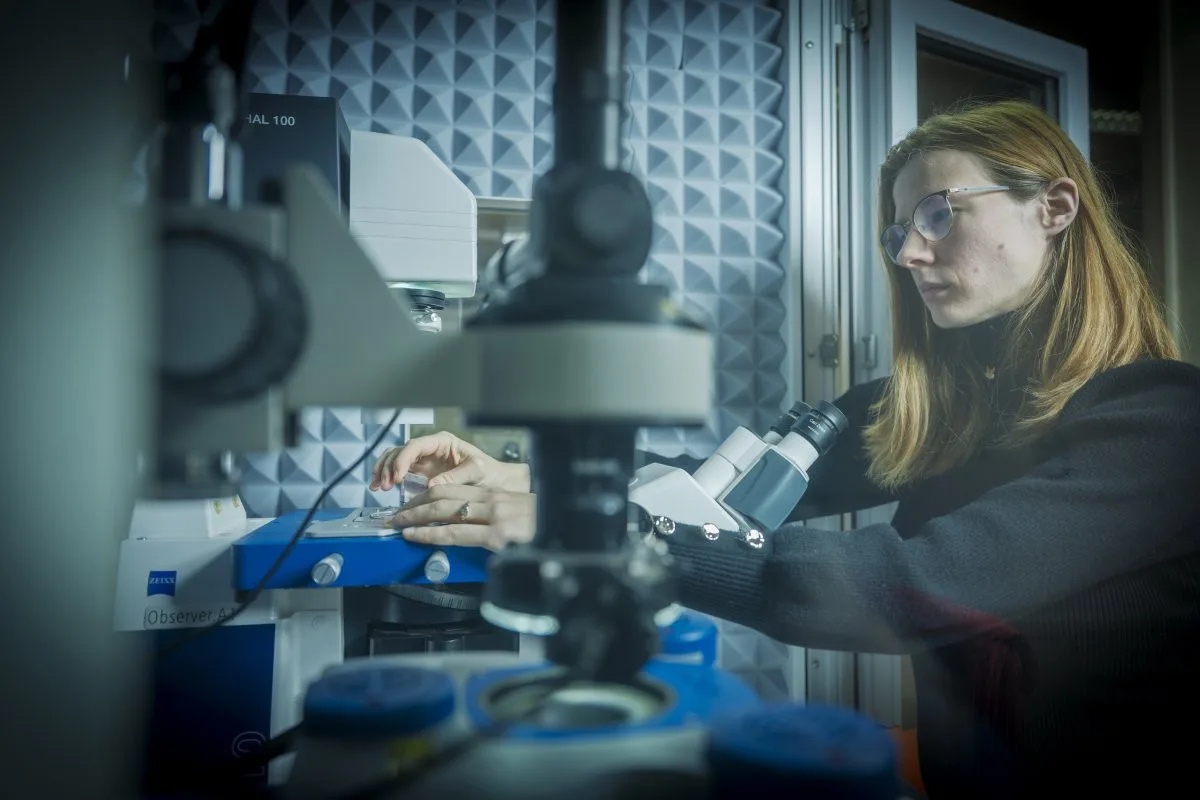 Pomoc špičkových odborníků pro firmy za hubičku? Nabízí ji liberecká univerzita