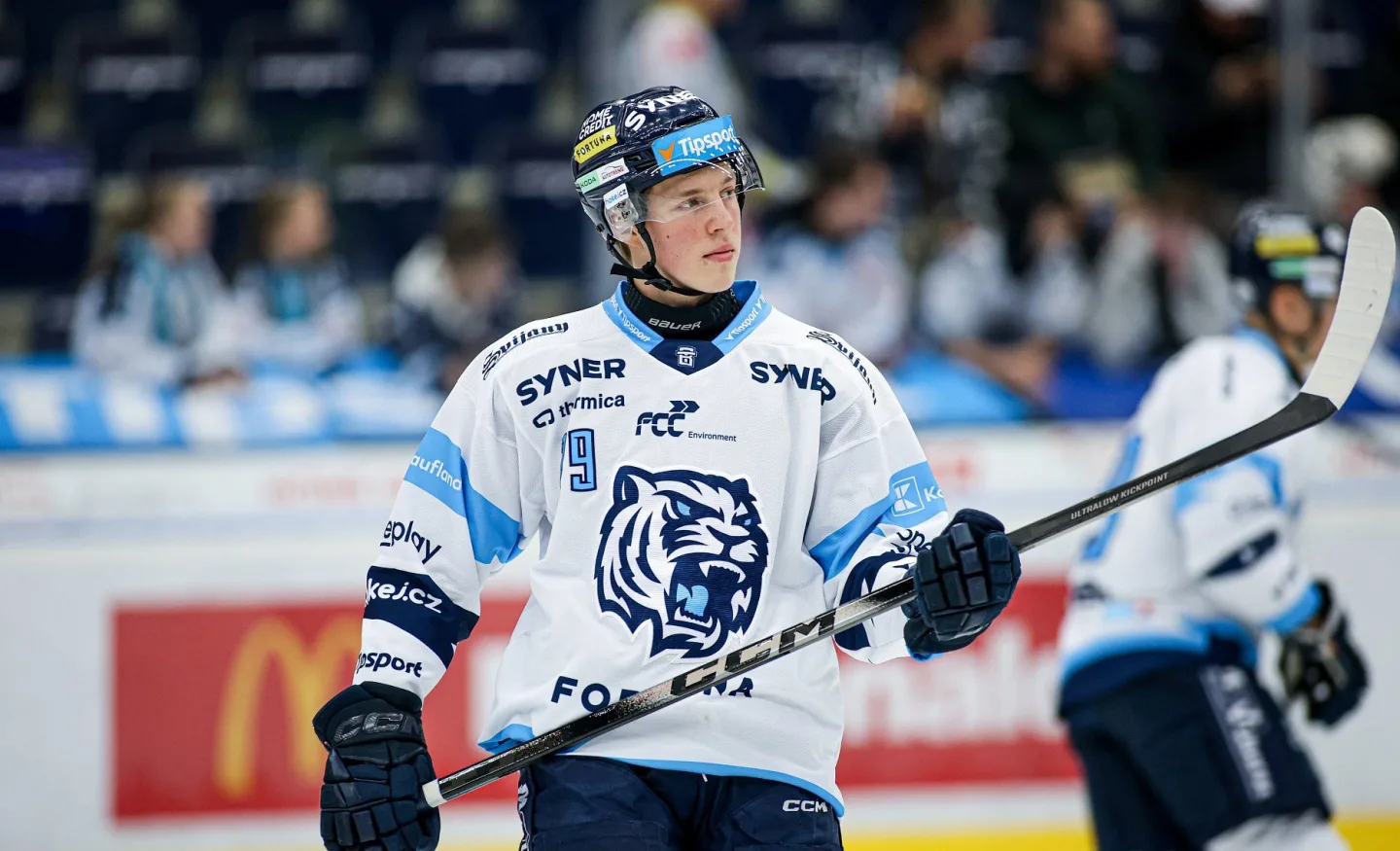 Kemp s českou elitou? Je to pro mě výborné srovnání, věří Tygr Galvas