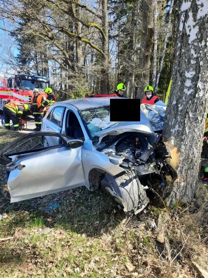 Tragická dopravní nehoda v Mříčné na Semilsku. Náraz do stromu nepřežil 85letý muž