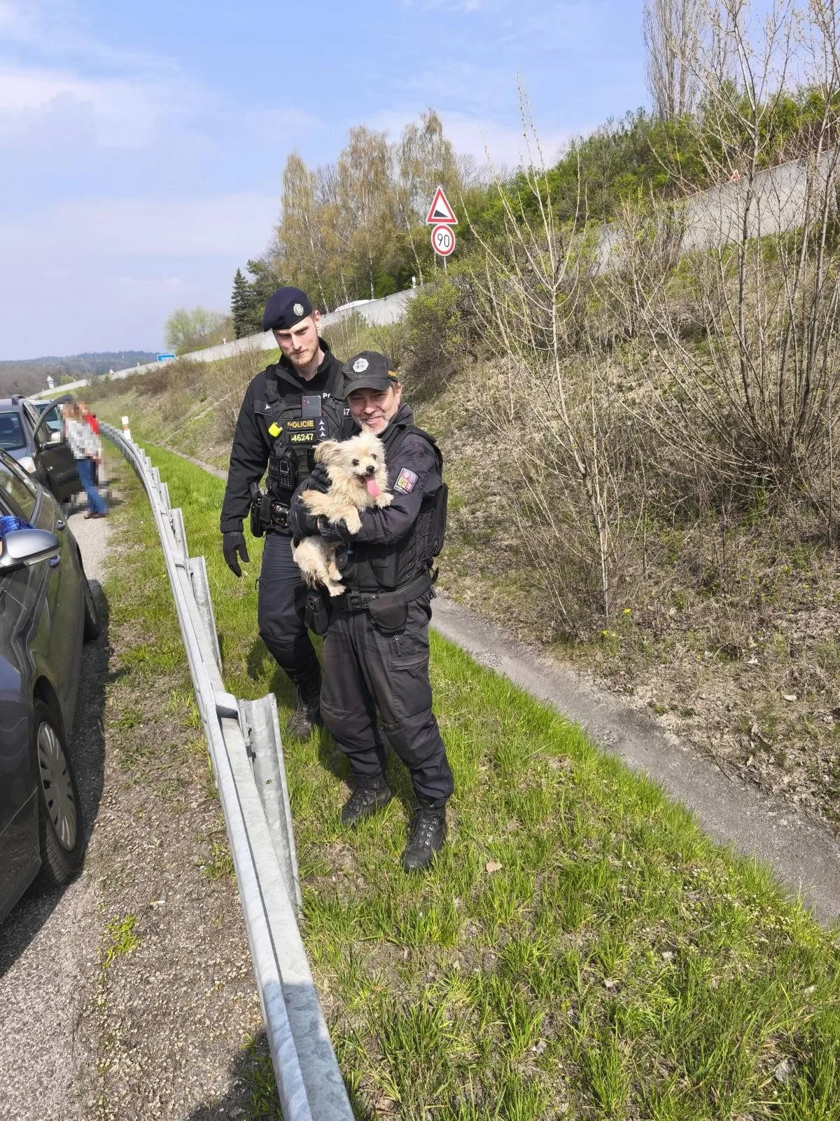 Dojemná solidarita. Fenka po nehodě utekla na rychlostku, doprava stála, naháněl ji, kdo mohl