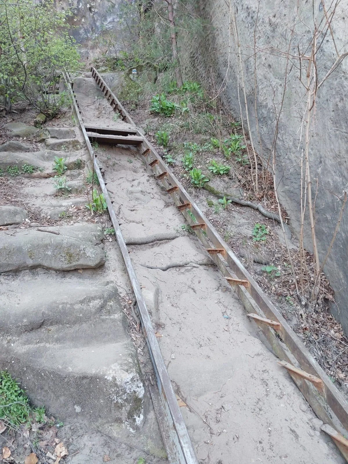 U Drábských světniček hnízdí sokoli, Lesy ČR musí odložit obnovu infrastruktury